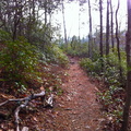 Cliff Trail, National Recreation Trail - 1